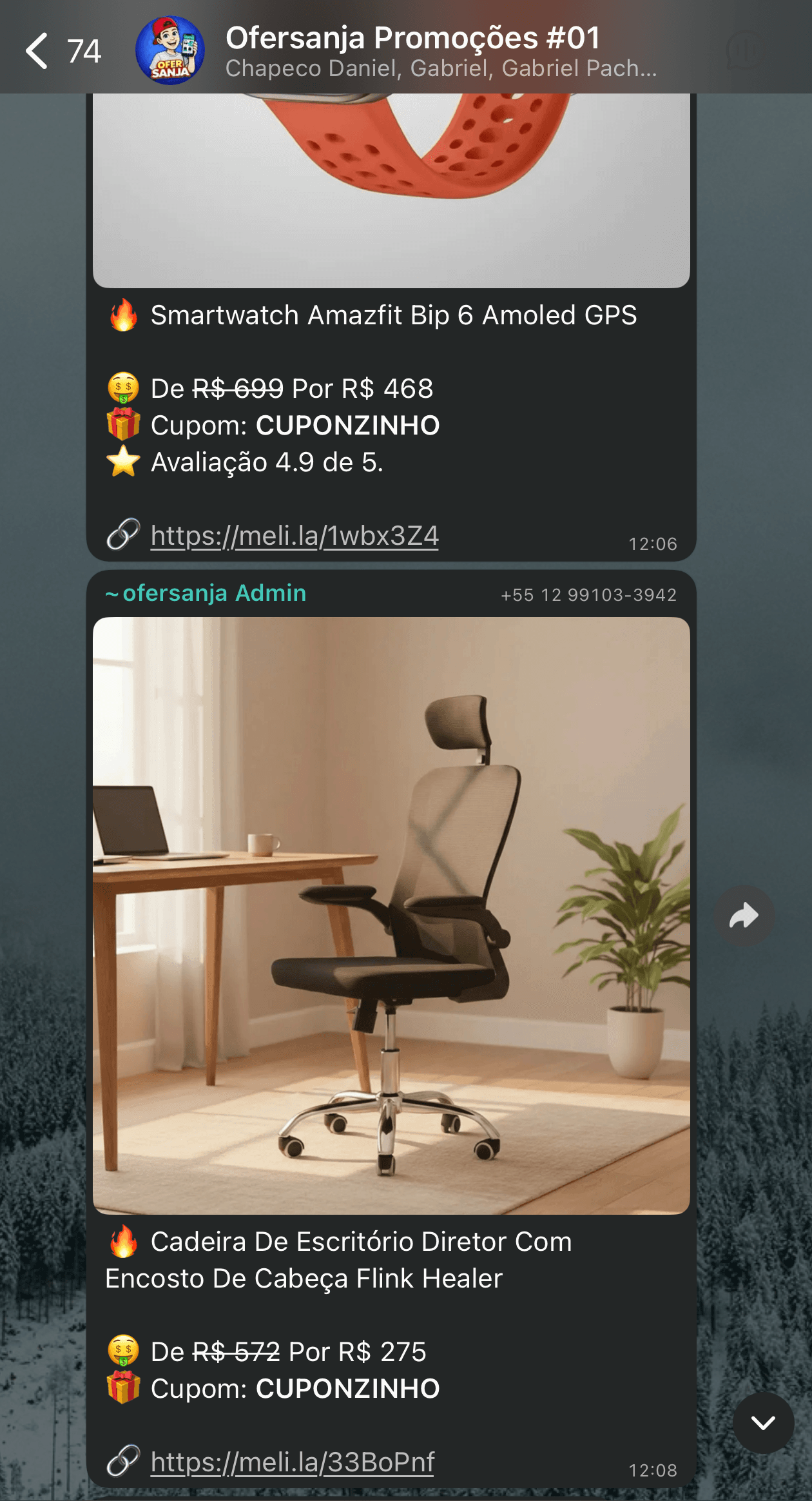Print do grupo WhatsApp com oferta